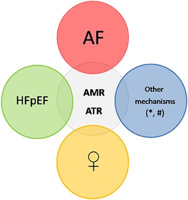 Atrial Mitral and Tricuspid Regurgitation: Sex Matters. A Call for Action to Unravel the Differences Between Women and Men